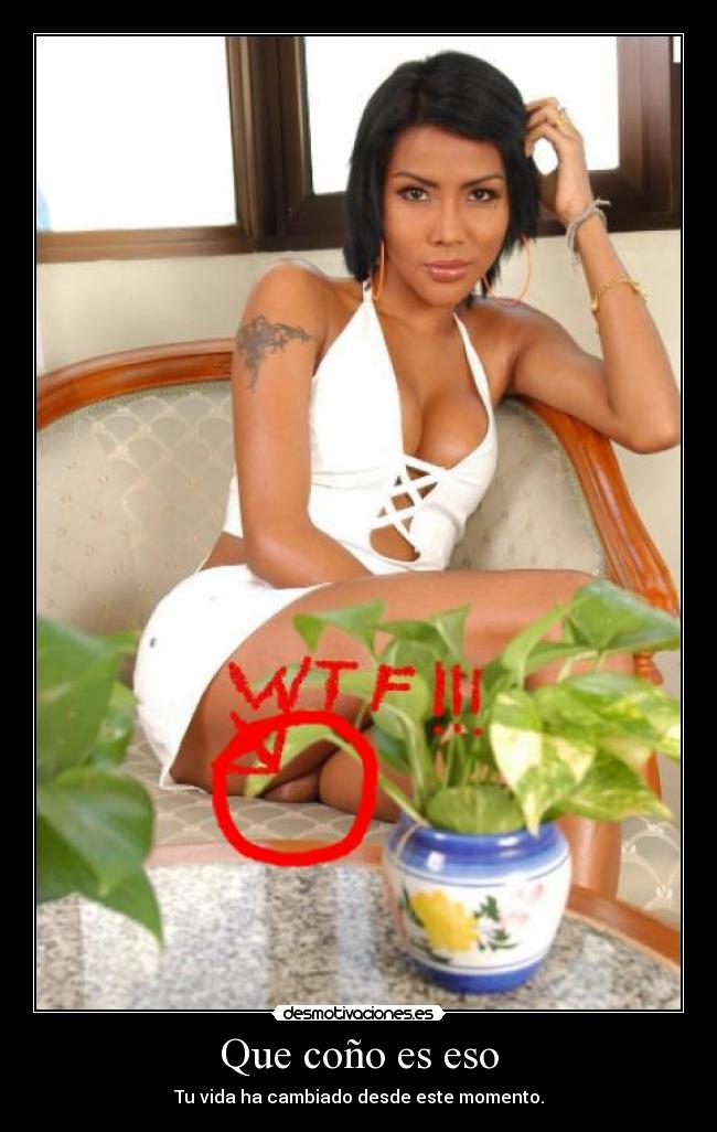 Que coño es eso - Tu vida ha cambiado desde este momento.