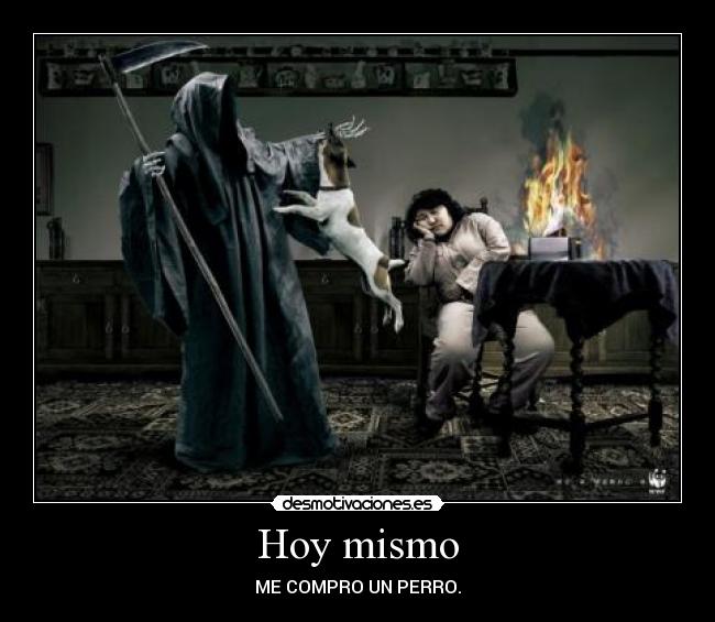 Hoy mismo - ME COMPRO UN PERRO.