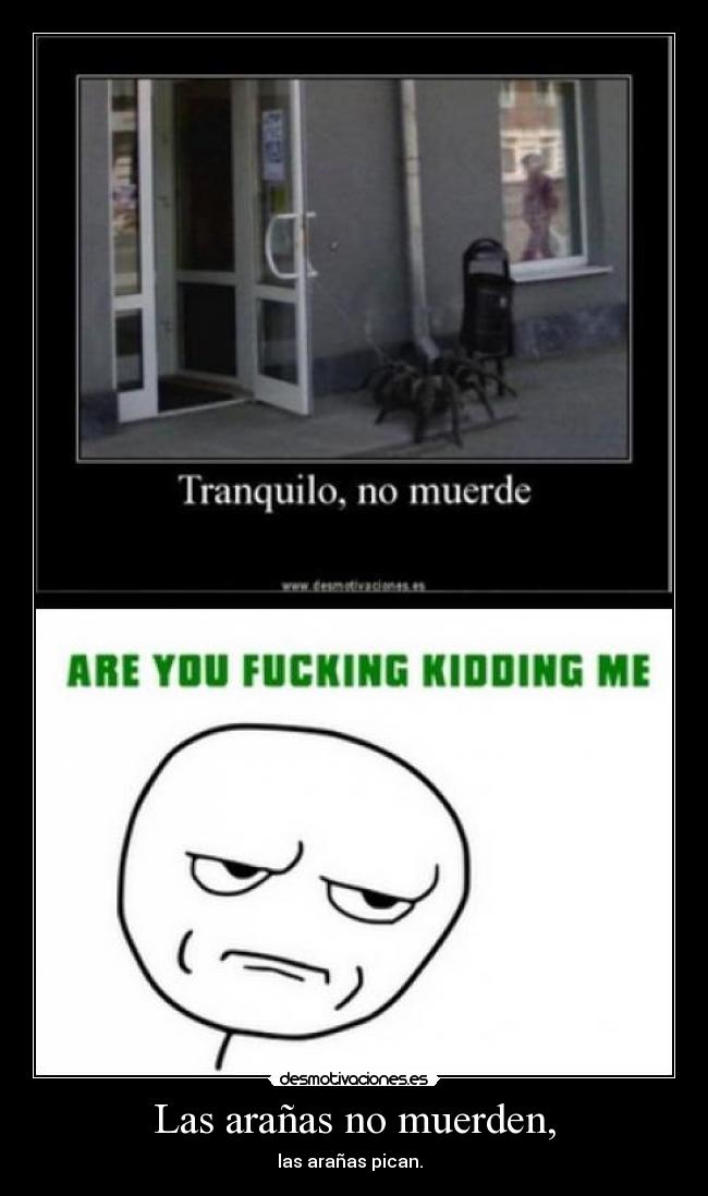 Las arañas no muerden, -