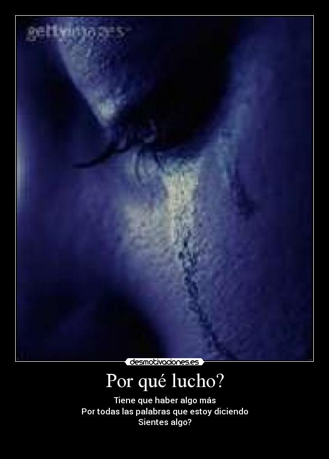 carteles lucho desmotivaciones