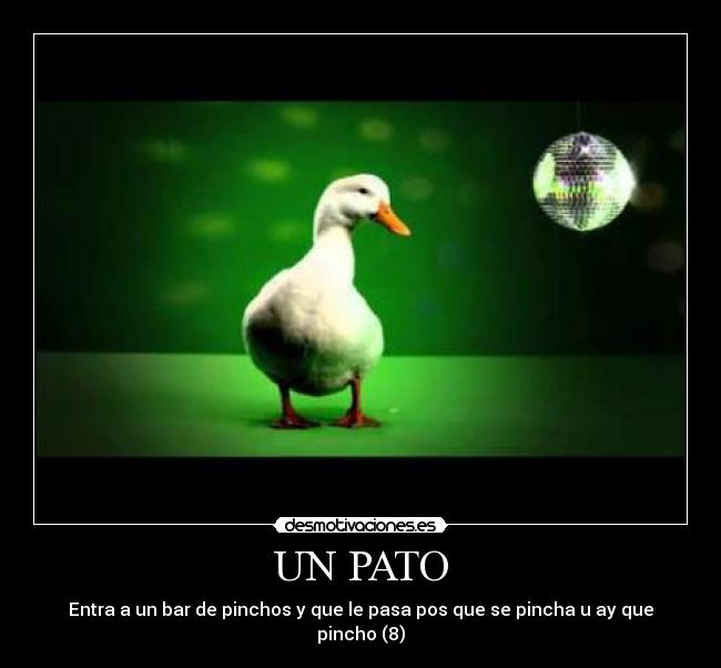 UN PATO - Entra a un bar de pinchos y que le pasa pos que se pincha u ay que pincho (8)