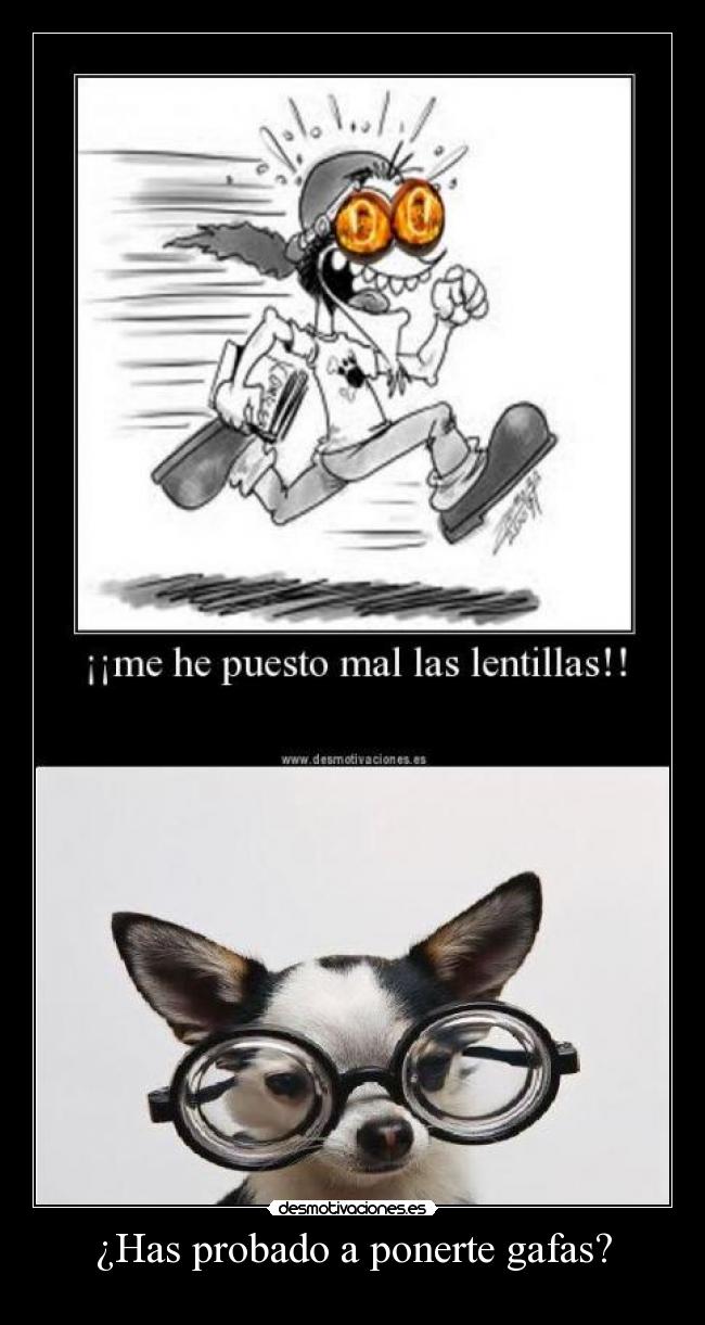 carteles elrhin desmotivaciones gafas lentes lentillas perro desmotivaciones