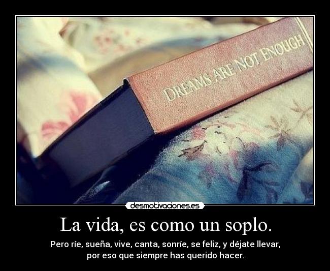 carteles vida disfruta desmotivaciones