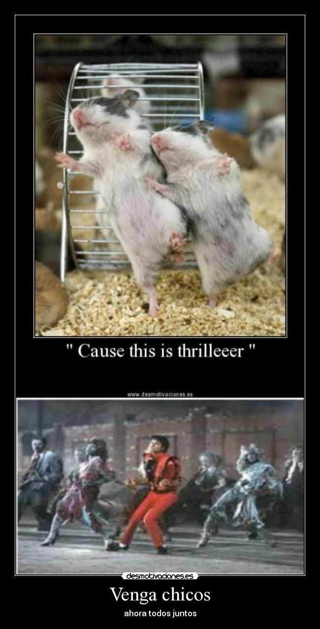 carteles venga chicos desmotivaciones