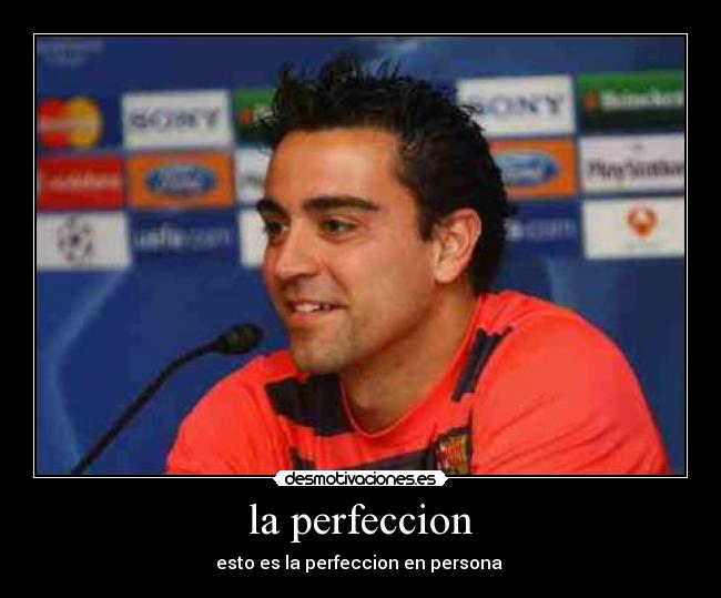 la perfeccion - 