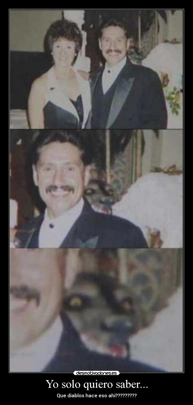 Yo solo quiero saber... -