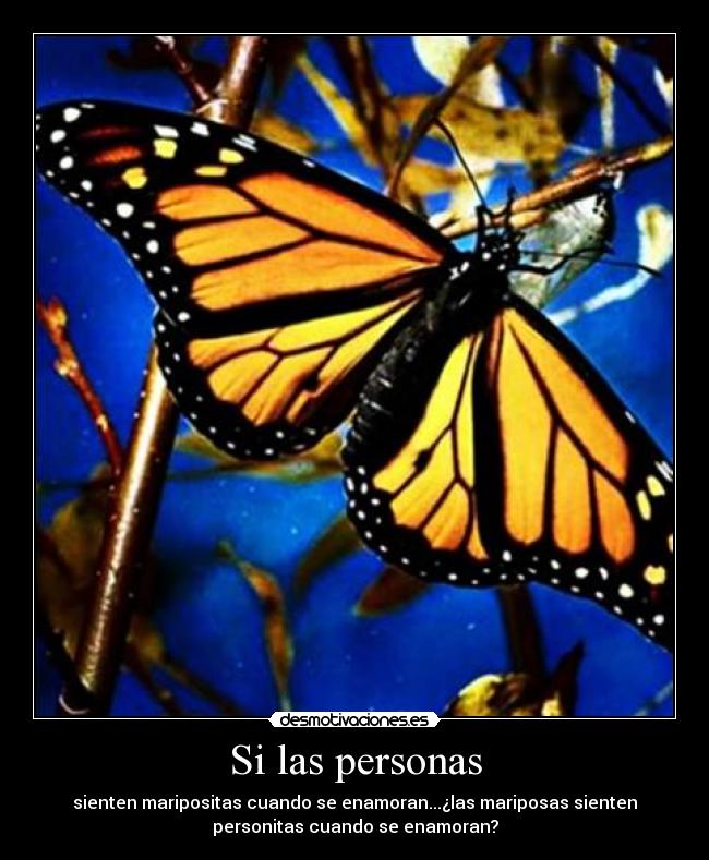 Si las personas - 