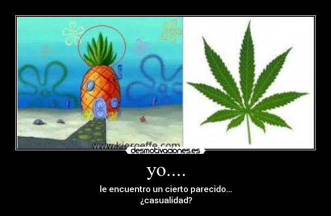 yo.... - le encuentro un cierto parecido...
¿casualidad?