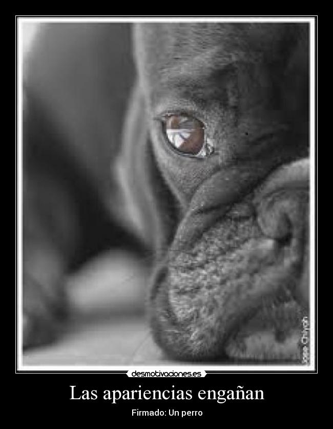 Las apariencias engañan - 