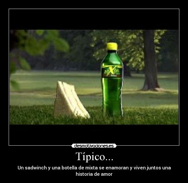 Típico... - Un sadwinch y una botella de mixta se enamoran y viven juntos una historia de amor