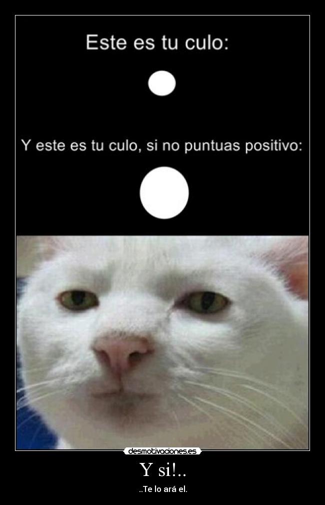 Y si!.. - 