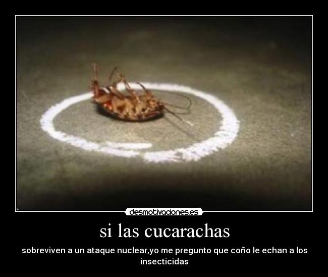 si las cucarachas - 