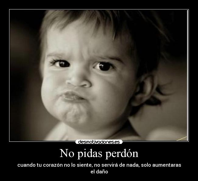 No pidas perdón -