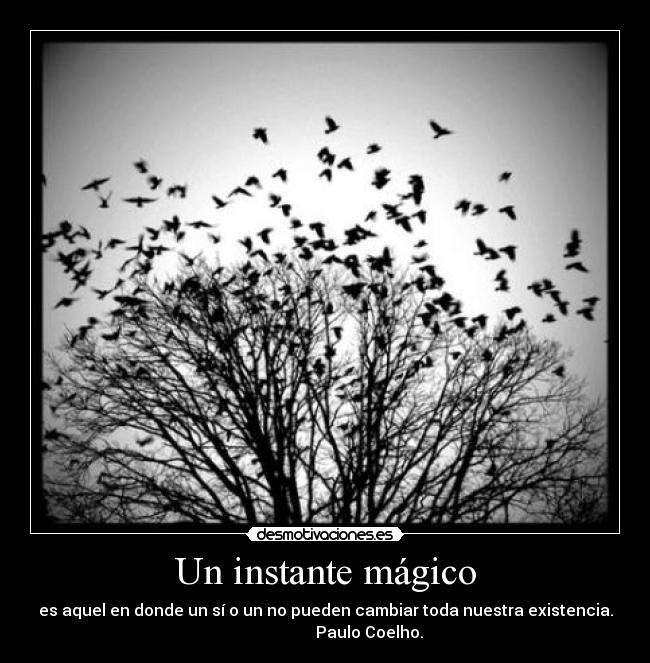 Un instante mágico - es aquel en donde un sí o un no pueden cambiar toda nuestra existencia.
Paulo Coelho.