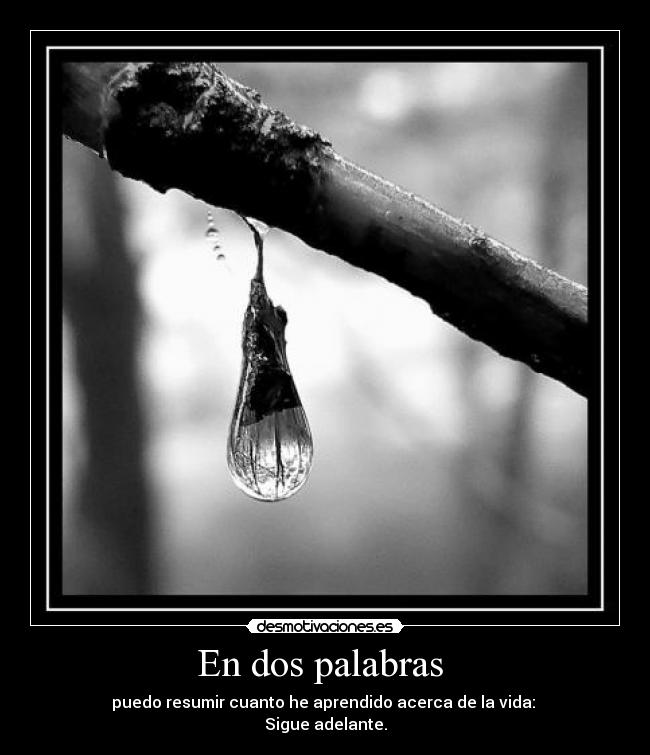 carteles vida desmotivaciones