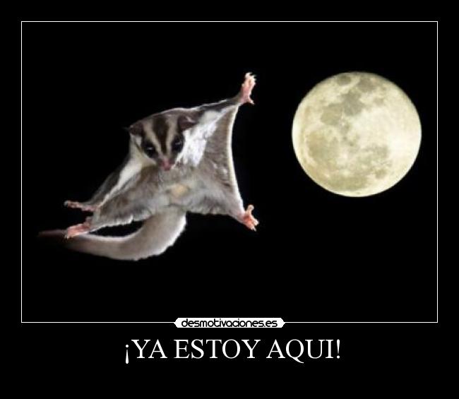 ¡YA ESTOY AQUI! -