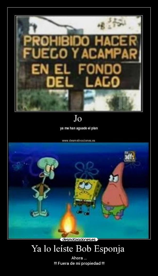 Ya lo leíste Bob Esponja  - 