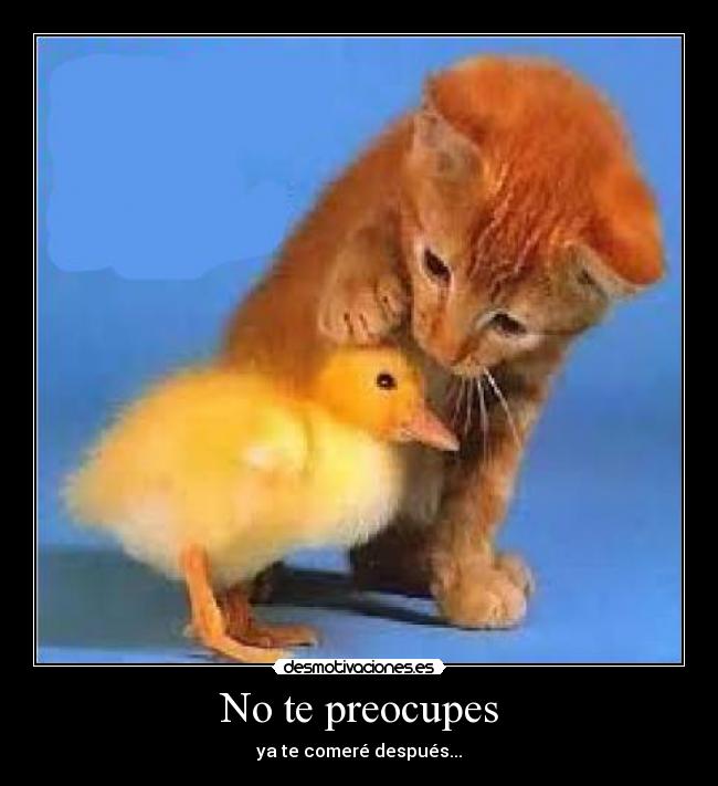 No te preocupes - ya te comeré después...