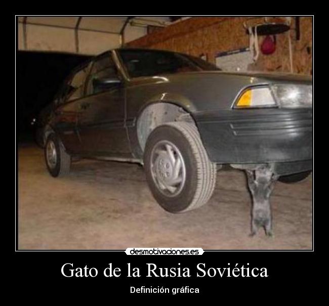 Gato de la Rusia Soviética -