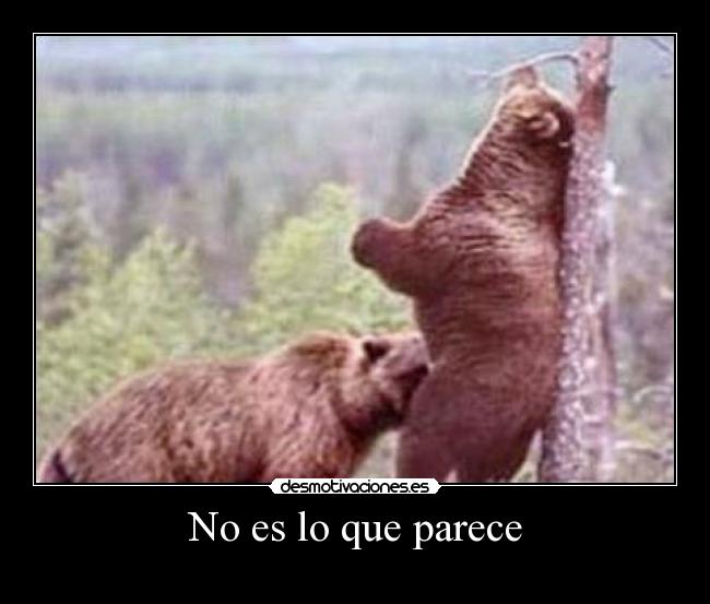 No es lo que parece - 