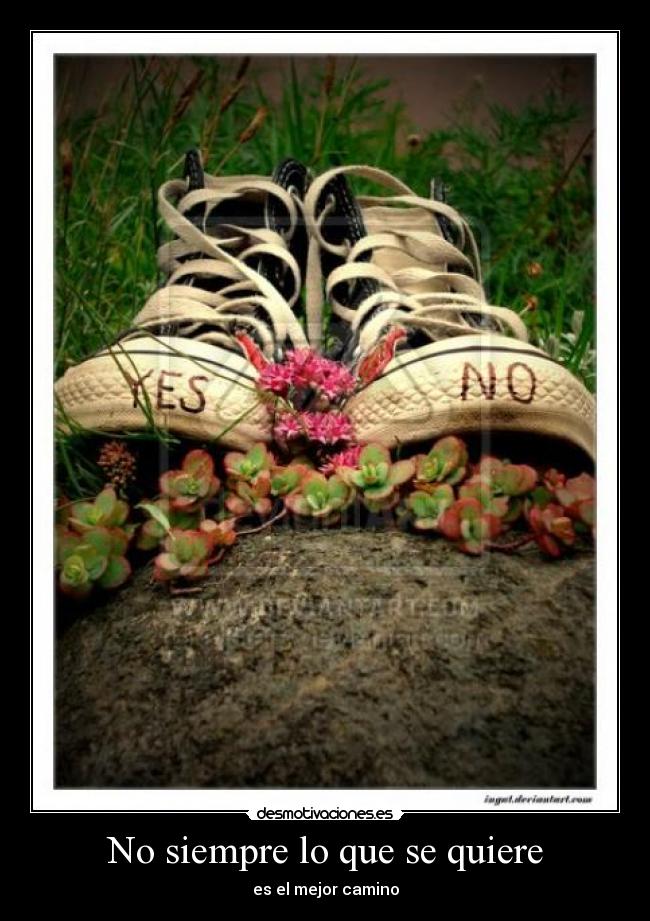 No siempre lo que se quiere -