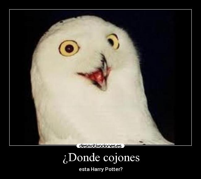 ¿Donde cojones -