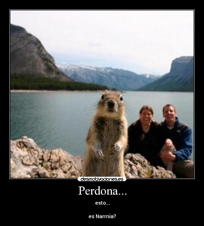 Perdona... -