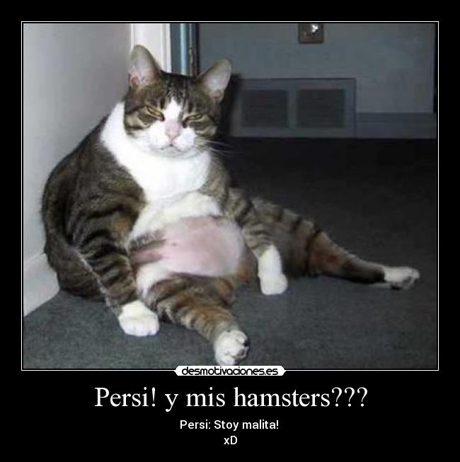 Persi! y mis hamsters??? - Persi: Stoy malita!
xD