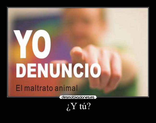 ¿Y tú? - 