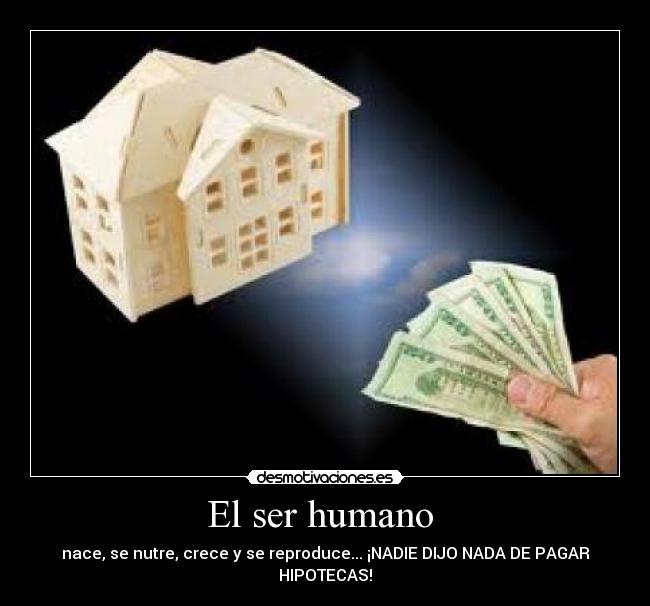 El ser humano  - 