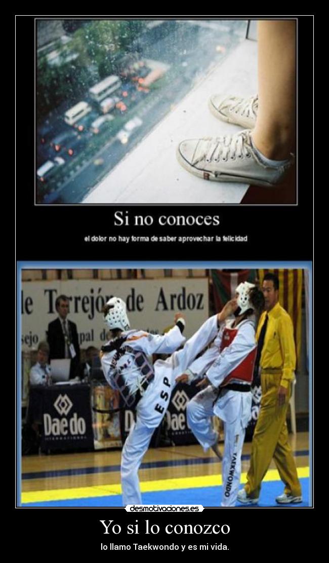 Yo si lo conozco - lo llamo Taekwondo y es mi vida.