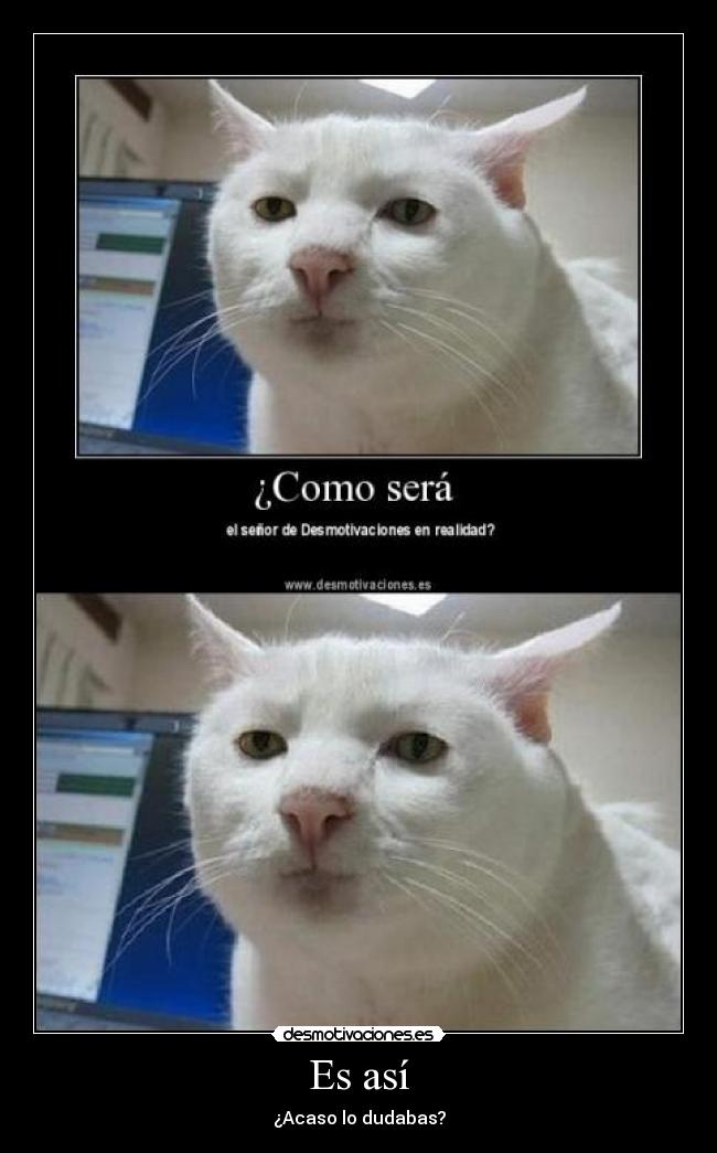 Es así - ¿Acaso lo dudabas?