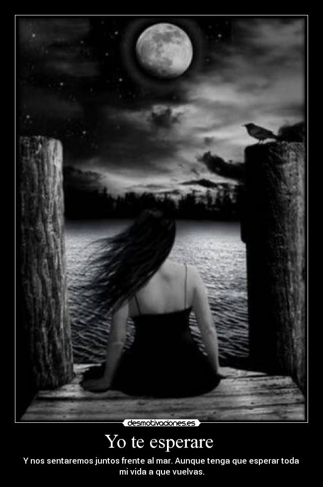Yo te esperare -