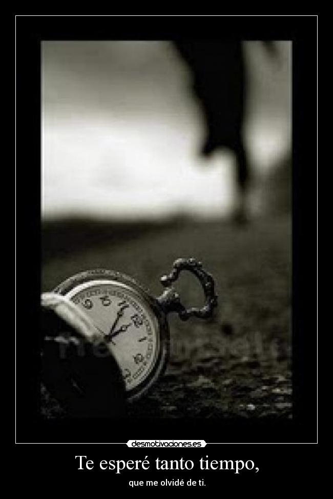 Te esperé tanto tiempo, - que me olvidé de ti.