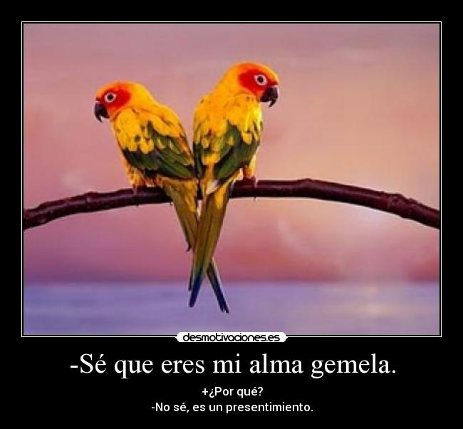 -Sé que eres mi alma gemela. - +¿Por qué?
-No sé, es un presentimiento.