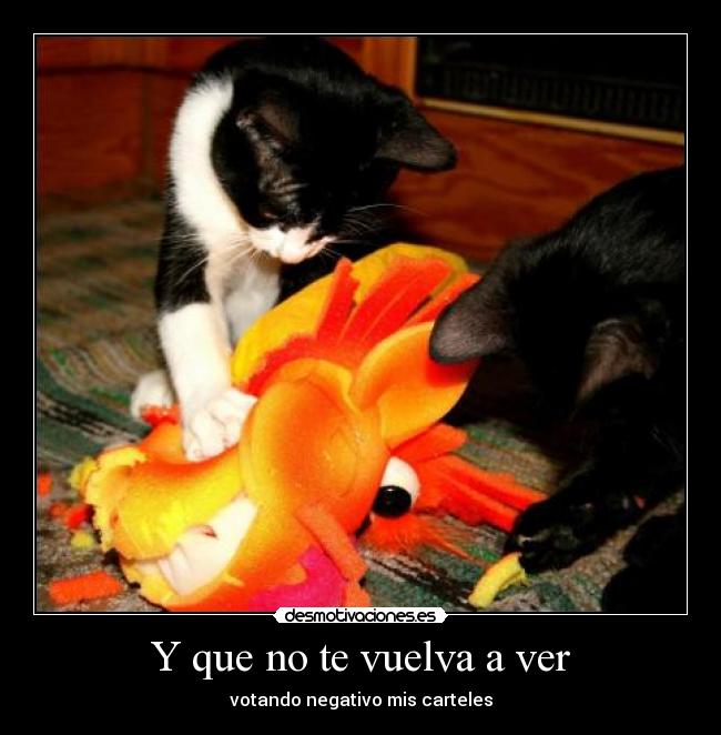 Y que no te vuelva a ver - votando negativo mis carteles
