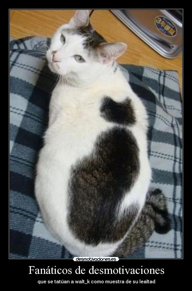Fanáticos de desmotivaciones - 