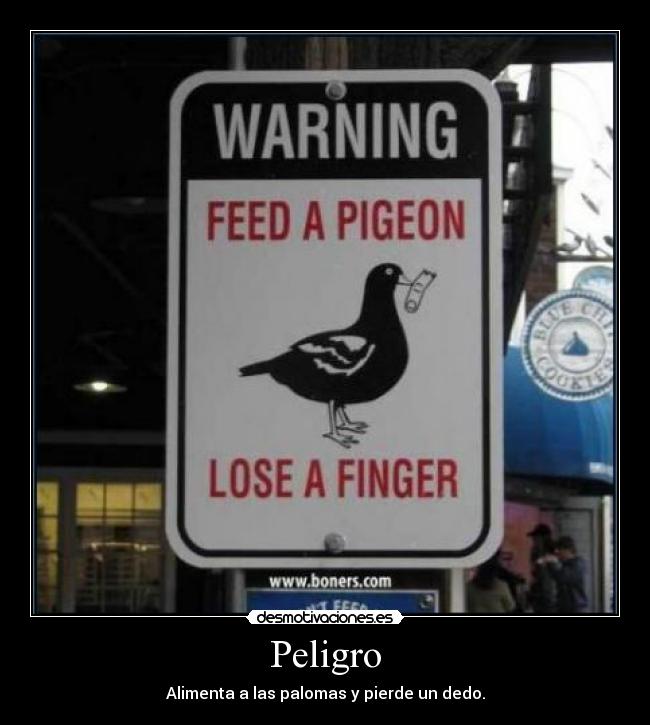 Peligro - Alimenta a las palomas y pierde un dedo.