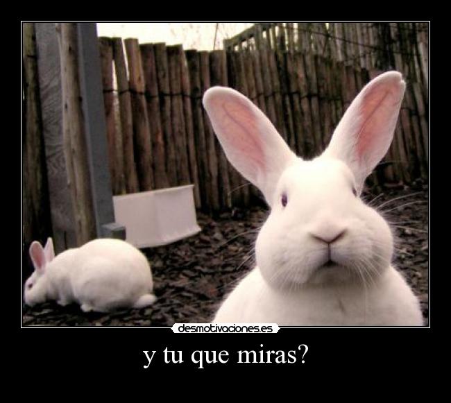y tu que miras? - 