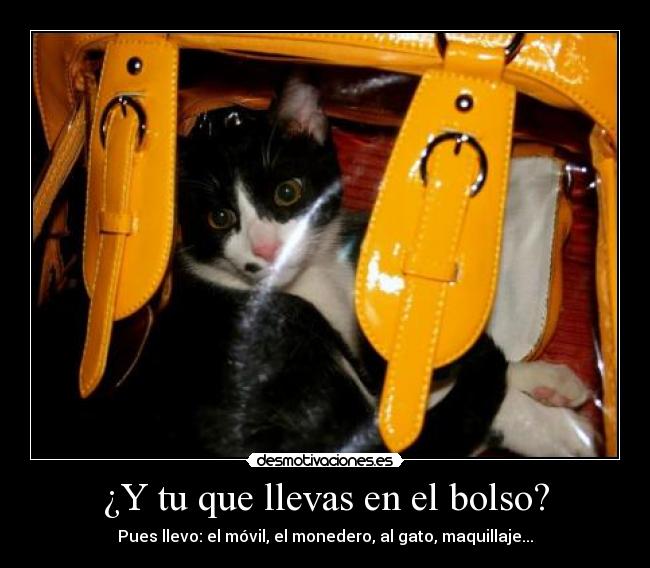 ¿Y tu que llevas en el bolso? - Pues llevo: el móvil, el monedero, al gato, maquillaje...