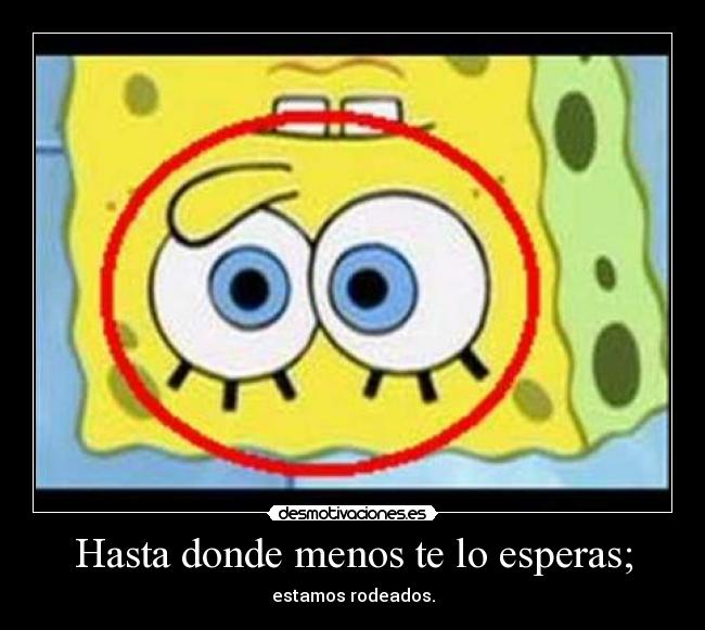 Hasta donde menos te lo esperas; - estamos rodeados.