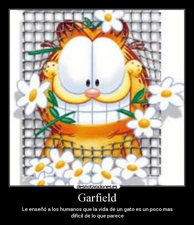 Garfield -