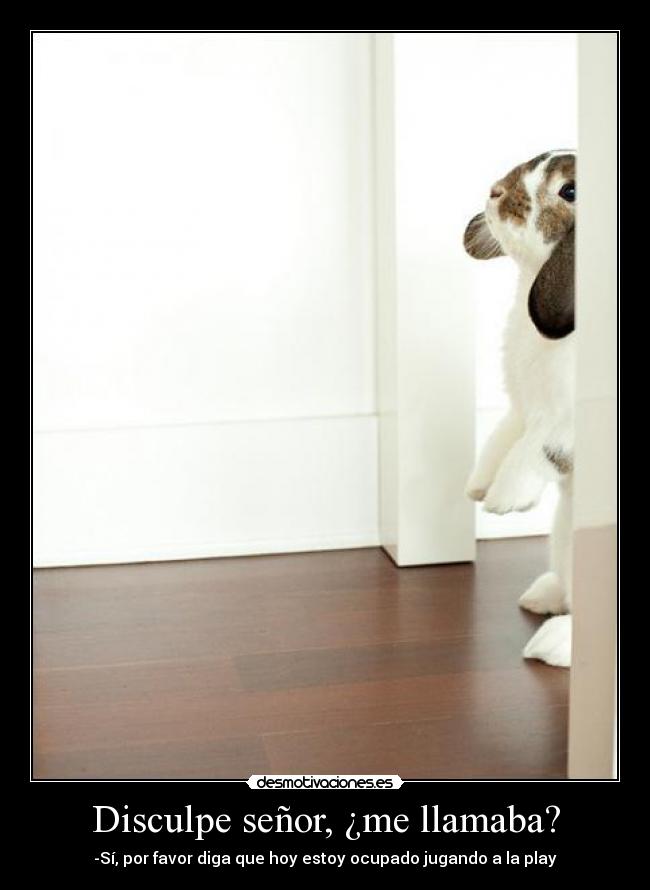 Disculpe señor, ¿me llamaba? -