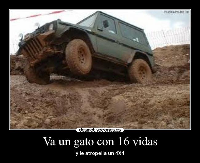 Va un gato con 16 vidas - 