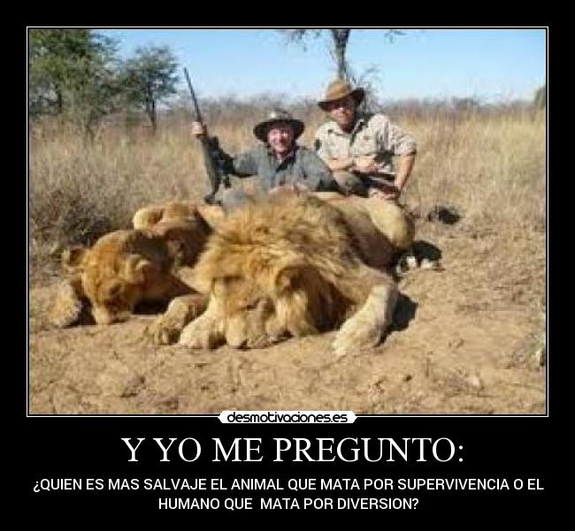 carteles animales desmotivaciones