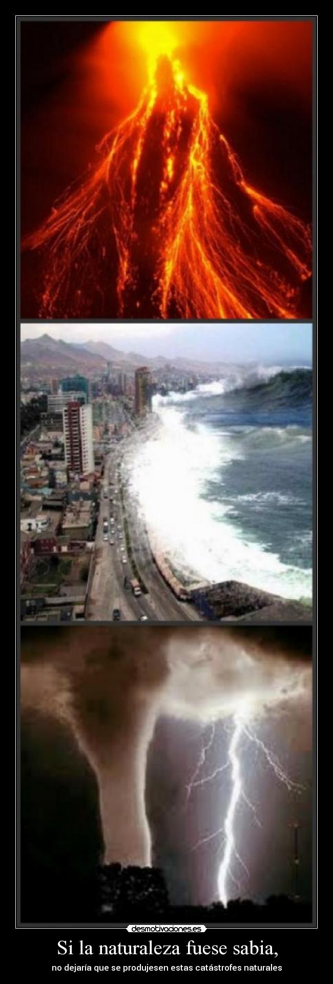 Si la naturaleza fuese sabia, - 