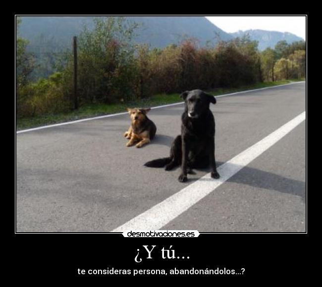 ¿Y tú... - 