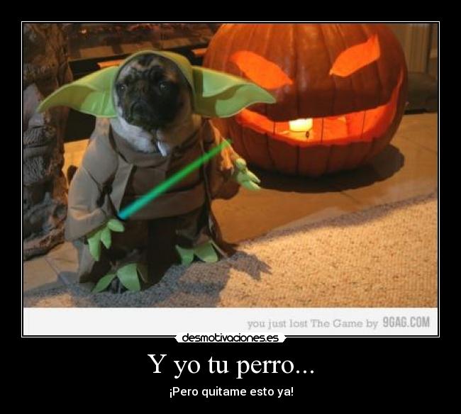 carteles yoda perro desmotivaciones