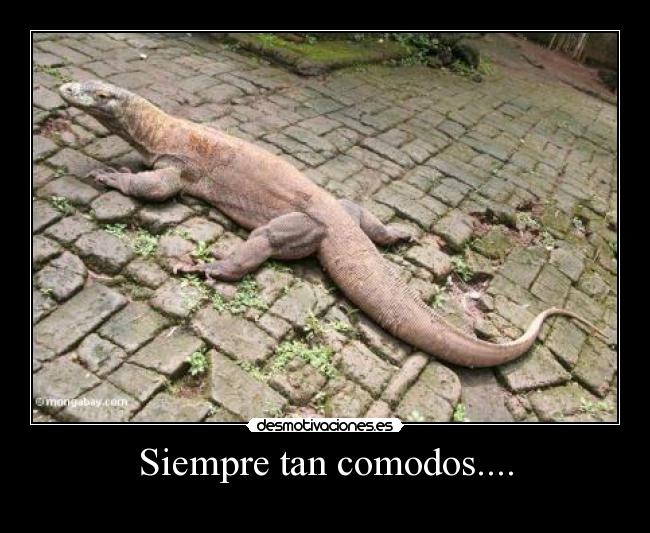 Siempre tan comodos.... -