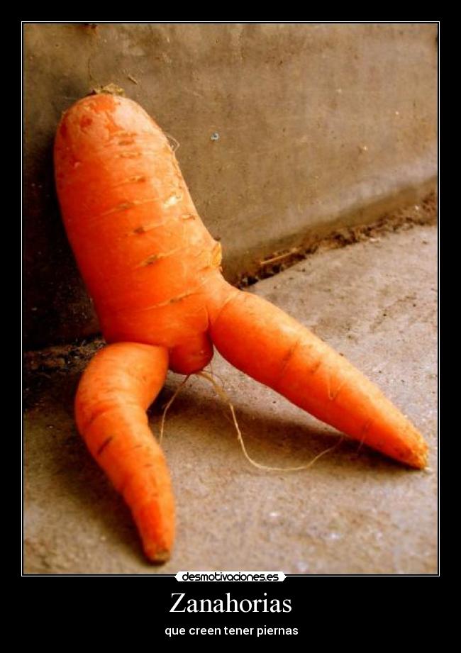 carteles votad positivo desmotivaciones